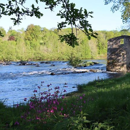 Manot Vacances - Gites En Bord De Vienne Eksteriør bilde